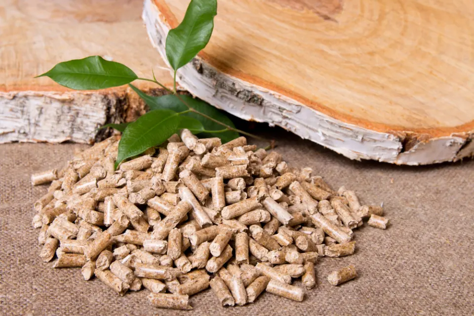 Đâu là tiêu chuẩn chất lượng viên nén gỗ wood pellet?