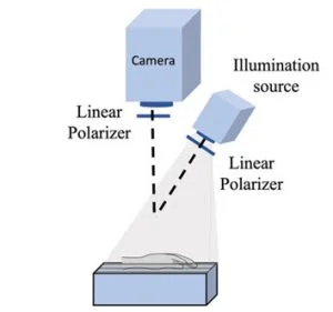 Camera và AI mở ra cánh cửa cho sức khỏe tim mạch 30 Kỹ thuật camera phân tích mức lipid máu không tiếp xúc